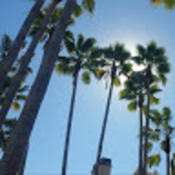 Meet your Posher, Charles - Picture 1 of 1